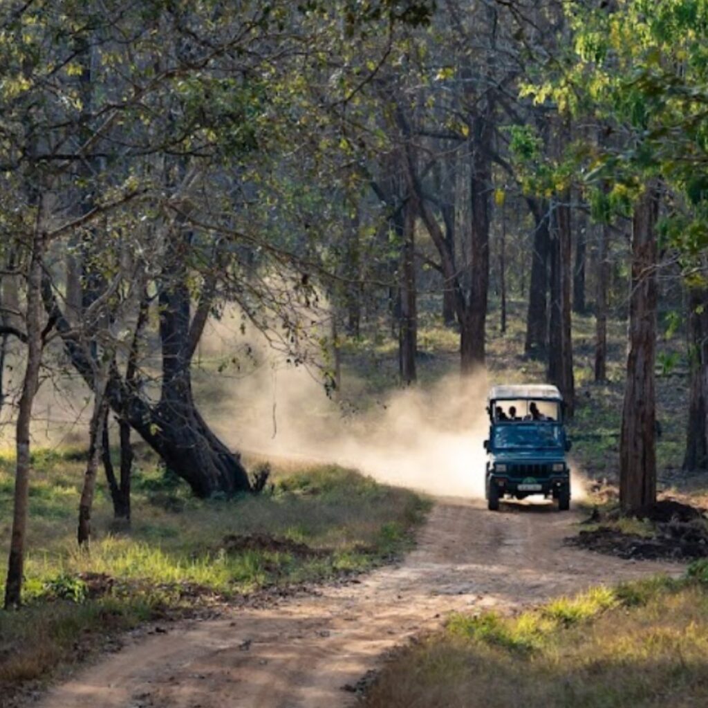 Safari En Jeep