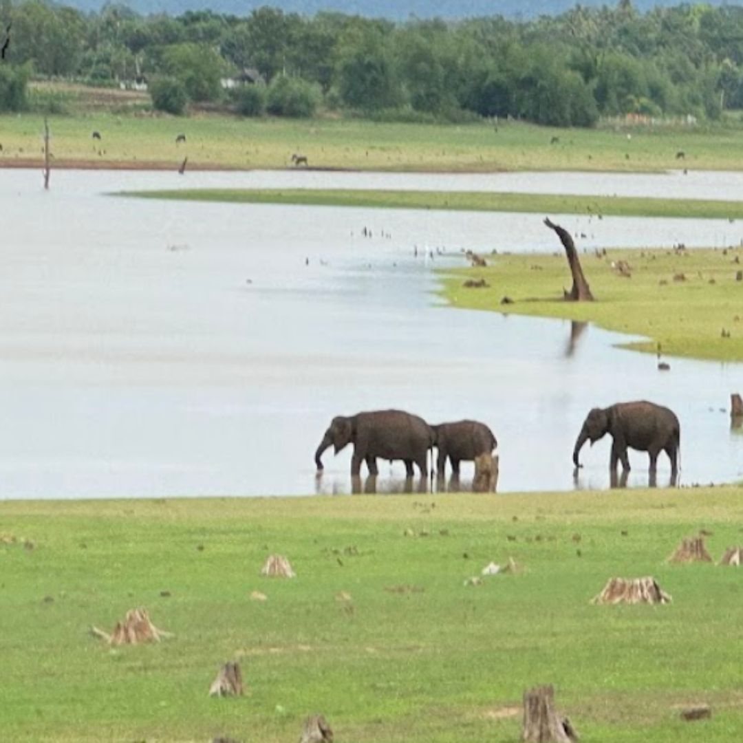 Nagrhole