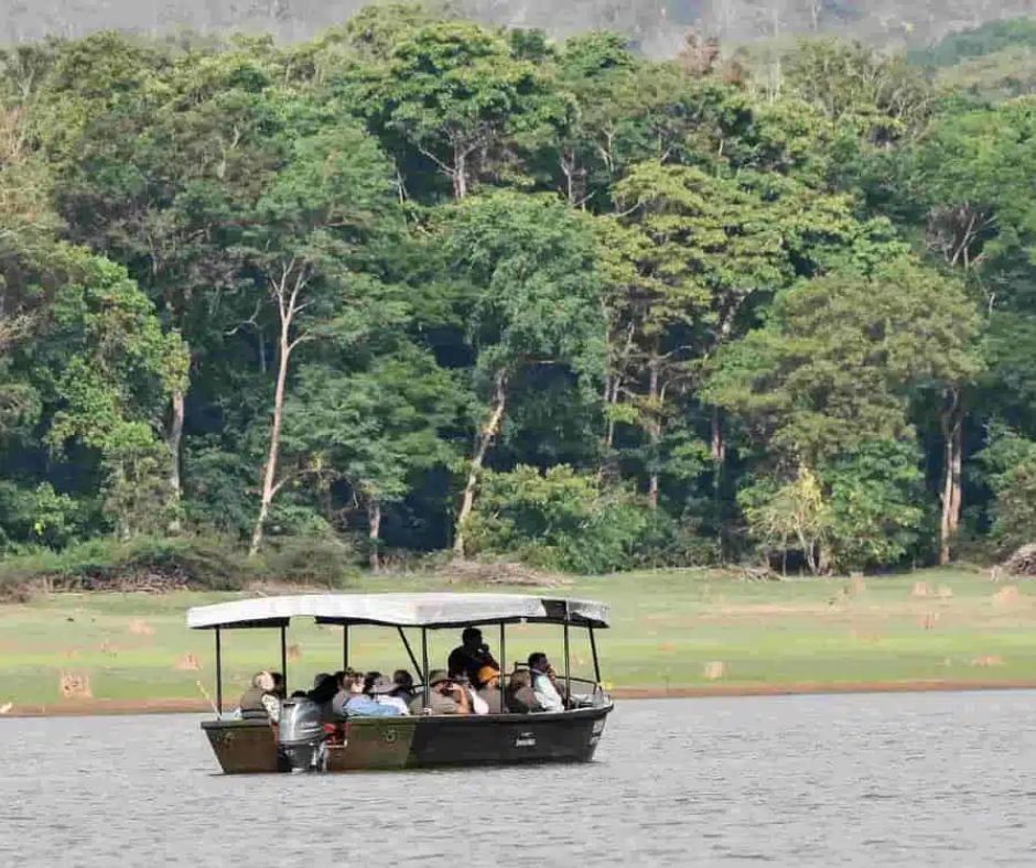 Safari En Bateau
