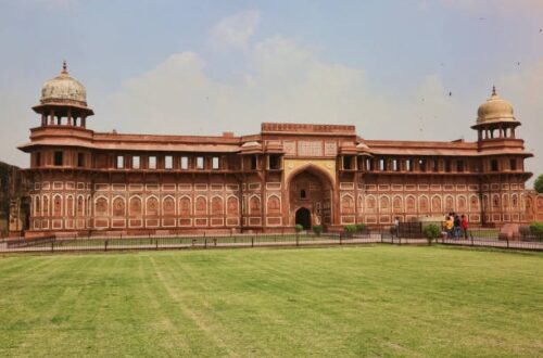 Vie Sauvage en Inde