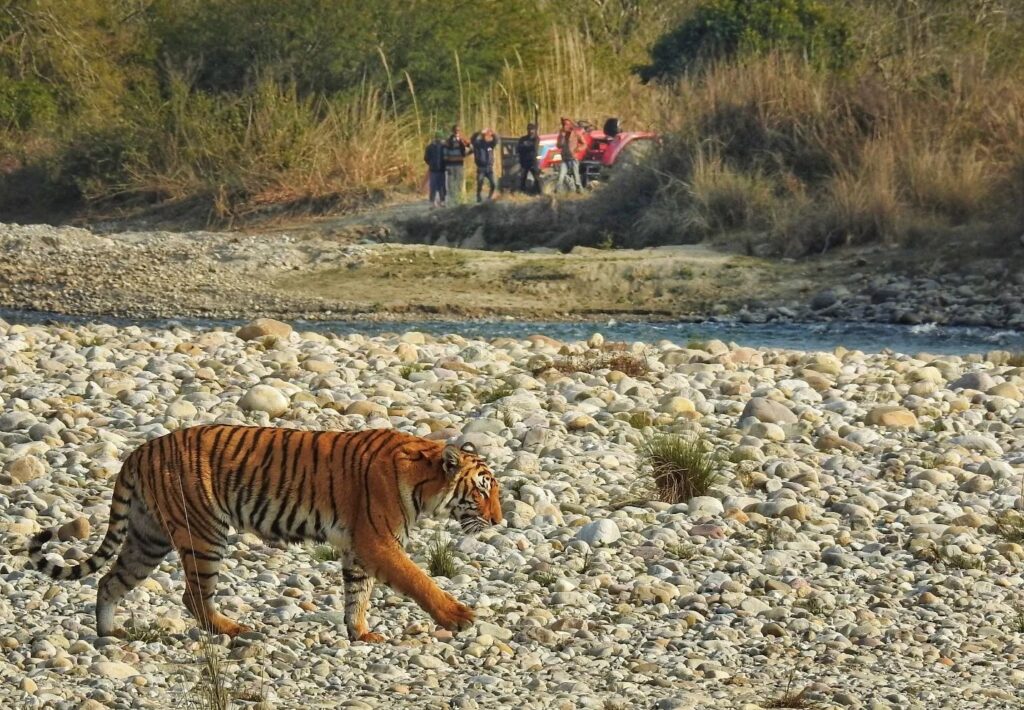 Portes d’entrée pour le safari dans la réserve de tigre Jim Corbett