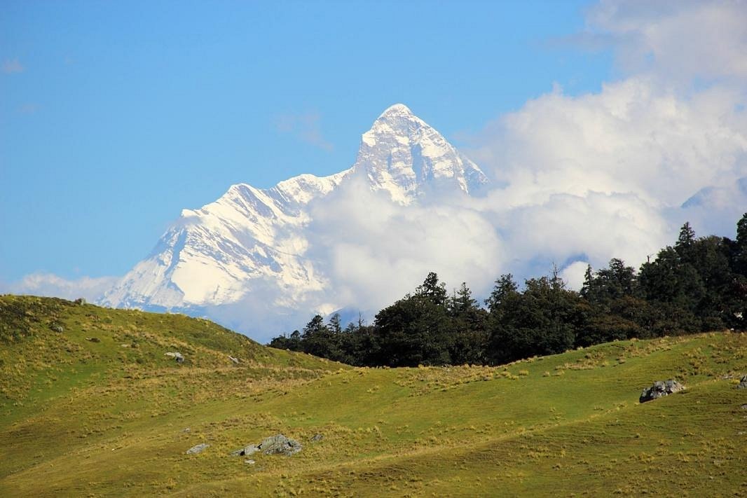 10 Des Meilleurs Endroits Pour Faire un Safari en Inde