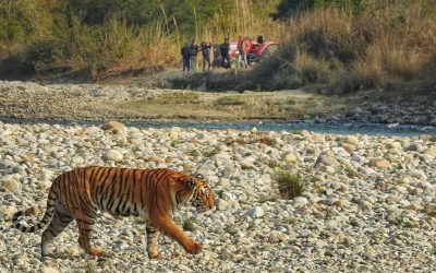 Portes d’entrée pour le safari dans la réserve de tigre Jim Corbett