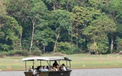 Safari En Bateau