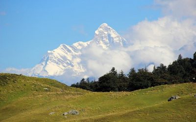10 Des Meilleurs Endroits Pour Faire un Safari en Inde